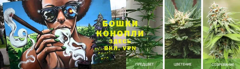 купить  сайты  Красный Кут  МАРИХУАНА THC 21% 